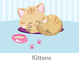 kittens-gifts-spark-and-spark-270.jpg